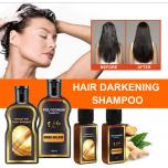 Шампунь для волос Polygonum Shampoo 250мл