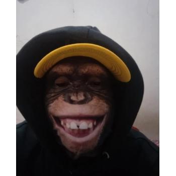 Балаклава маска обезьяны и других животных